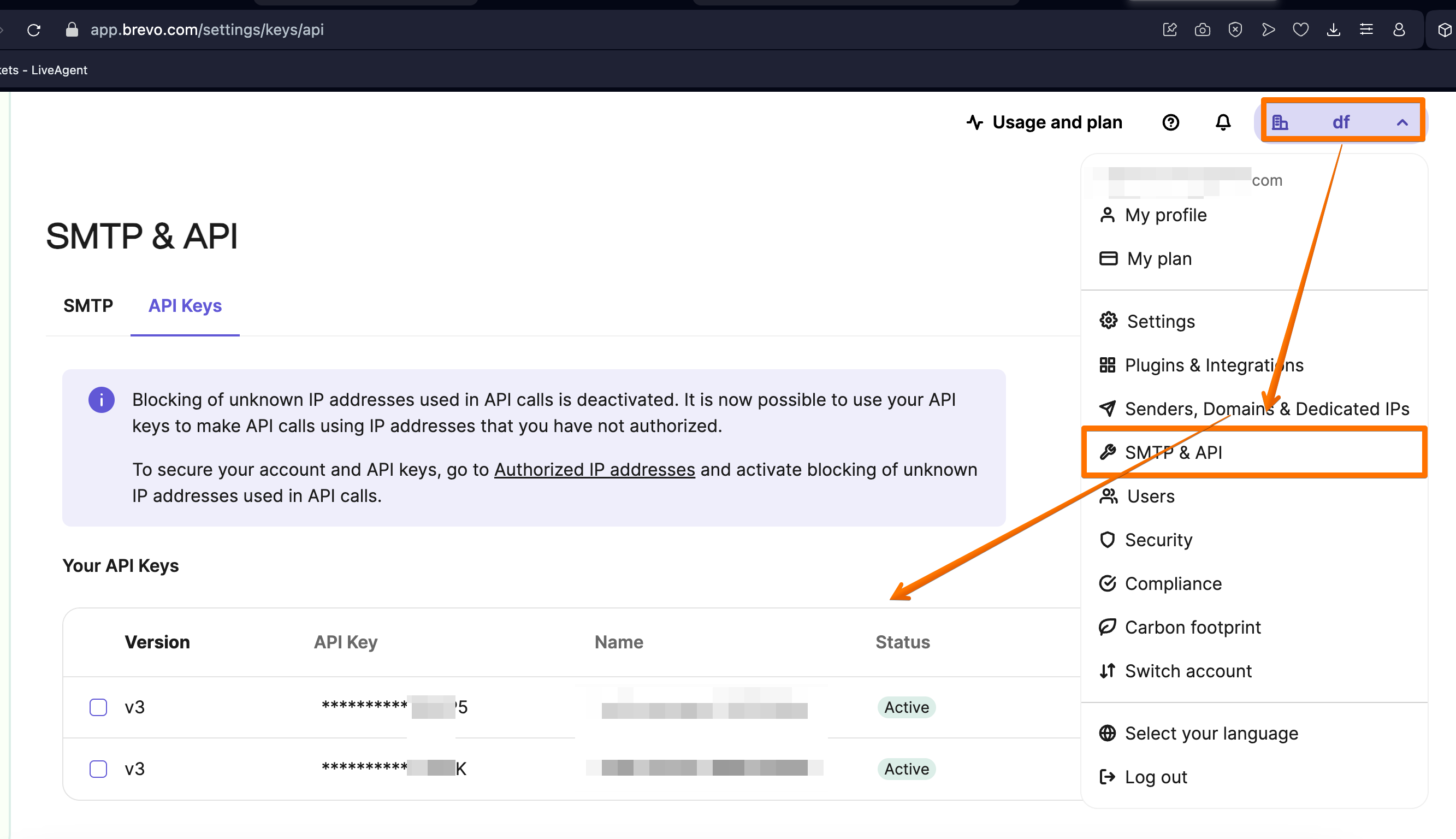 Monosnap API Keys - Brevo 2025-02-18 20-08-39