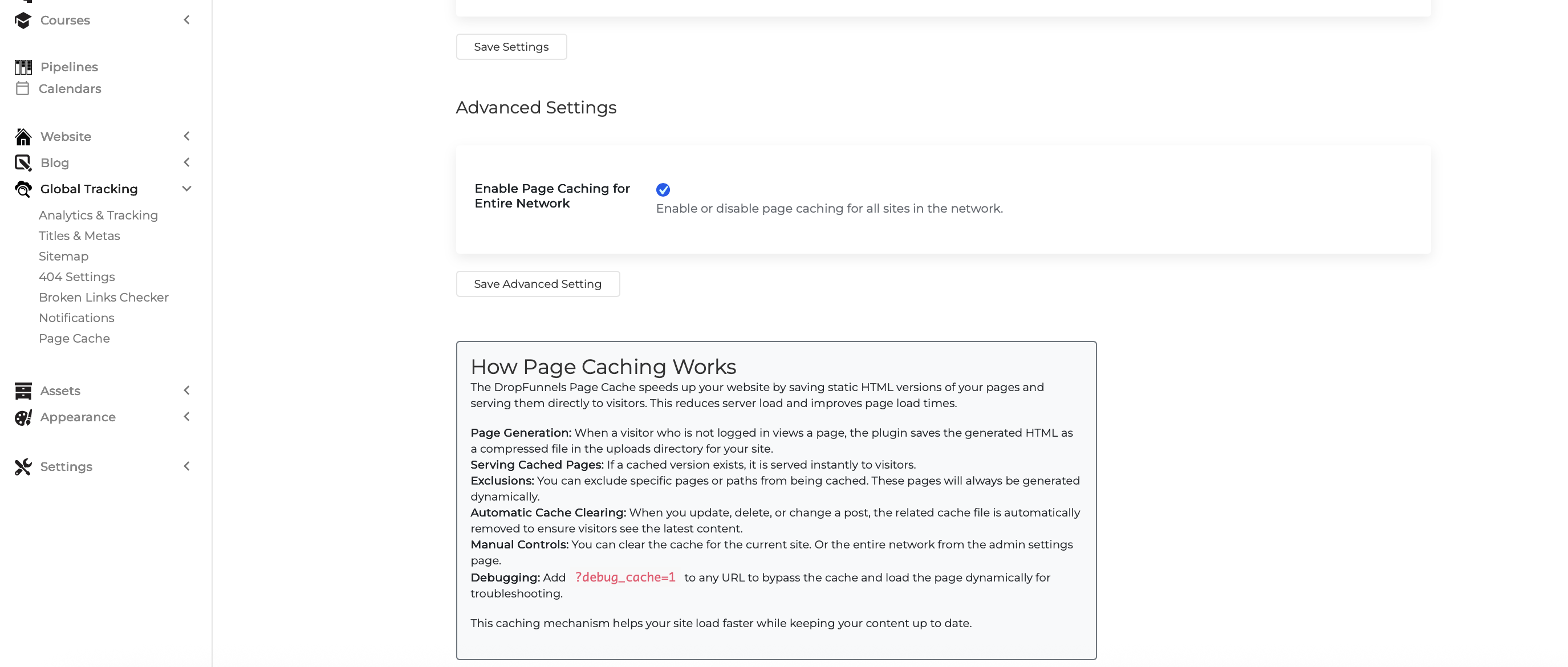 Monosnap Page Cache ‹ DF Triage — WordPress 2025-07-01 21-39-17